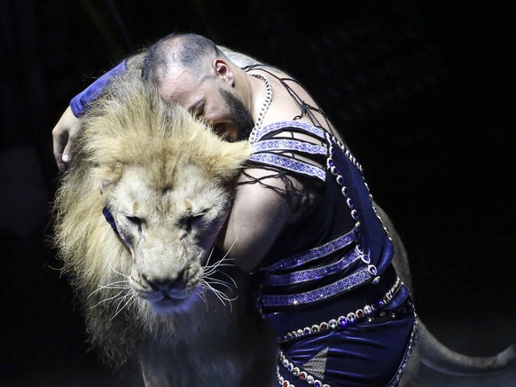 Ein Zirkusartist performt mit einem Löwen am Circus Art Festival in Minsk, Belarus, 2017.