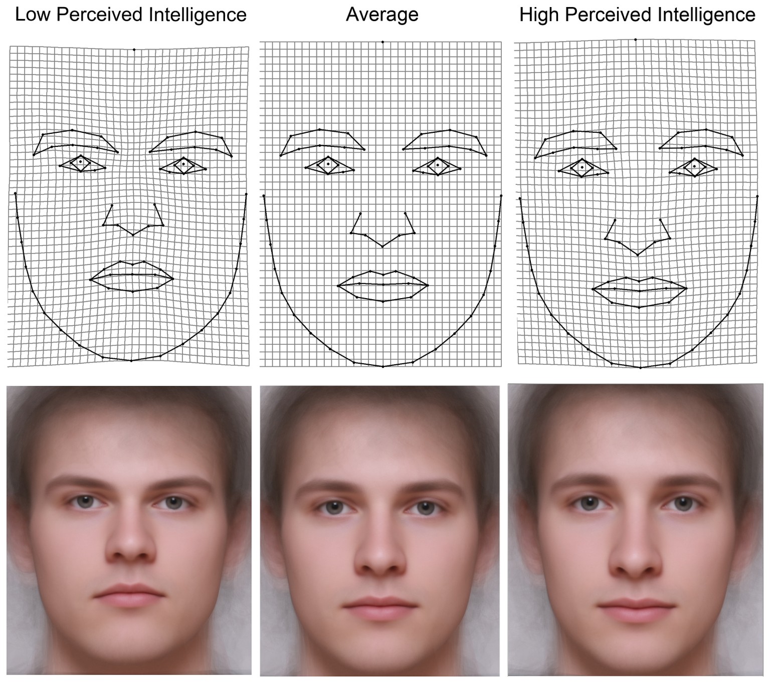 Obere Reihe: Standardisierte Gesichtszüge von Männern, die als mehr (r.) oder weniger (l.) intelligent wahrgenommen werden.&nbsp;Untere Reihe: Aus mehreren Fotografien erstellte Idealbilder, die jewei ...