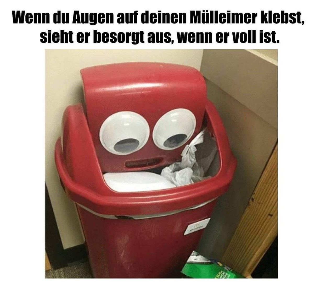 Picdump #24 – von der Community, für die Community\nDer Arme... Wie er guckt... 😳