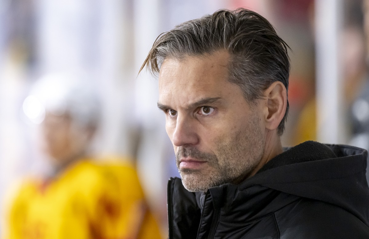 Headcoach Thierry Paterlini (SCL) im Qualifikationsspiel der Eishockey National League zwischen dem HC Ajoie und den SCL Tigers in der Raiffeisen Arena in Porrentruy, am Samstag, 2. November 2024. (KE ...