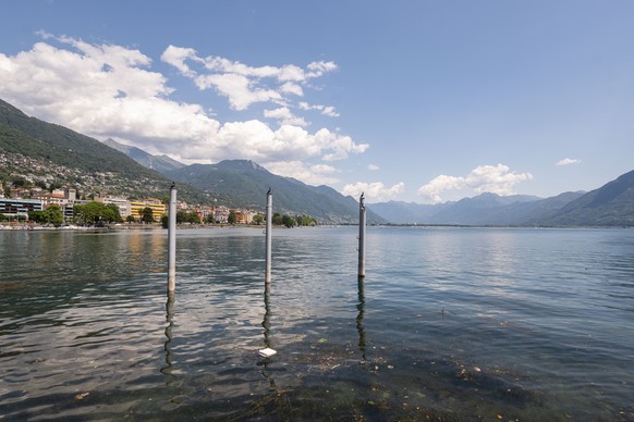 The prolonged lack of rainfall and persistent heat have intensified the drought in Ticino, putting increasing pressure on the region's water reservoirs and significantly reducing the flow of rive ...