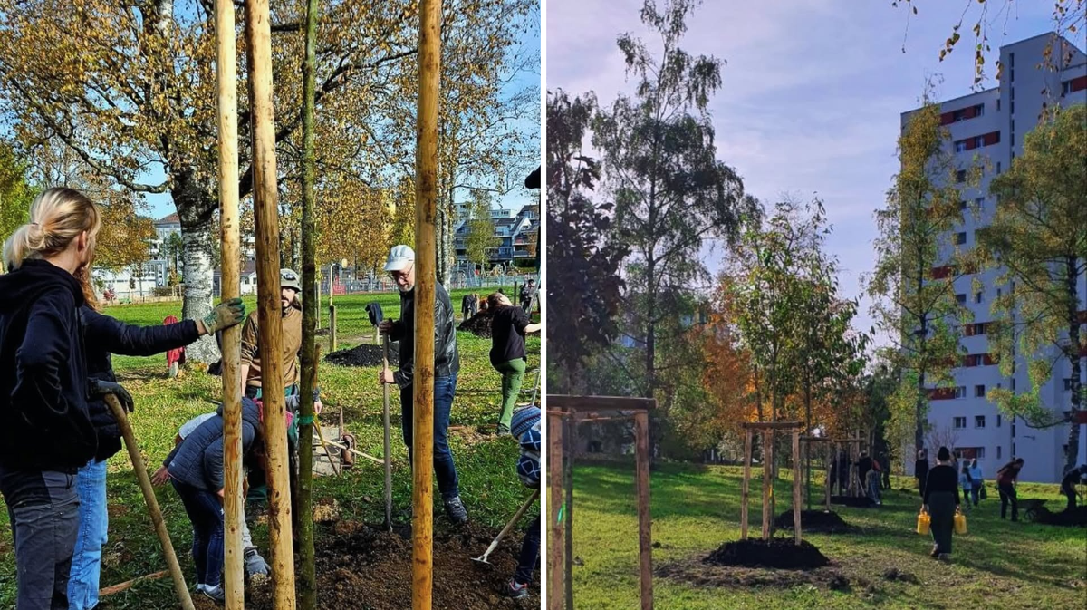 La Chaux-de-Fonds inaugure la plus haute forêt comestible urbaine d’Europe.