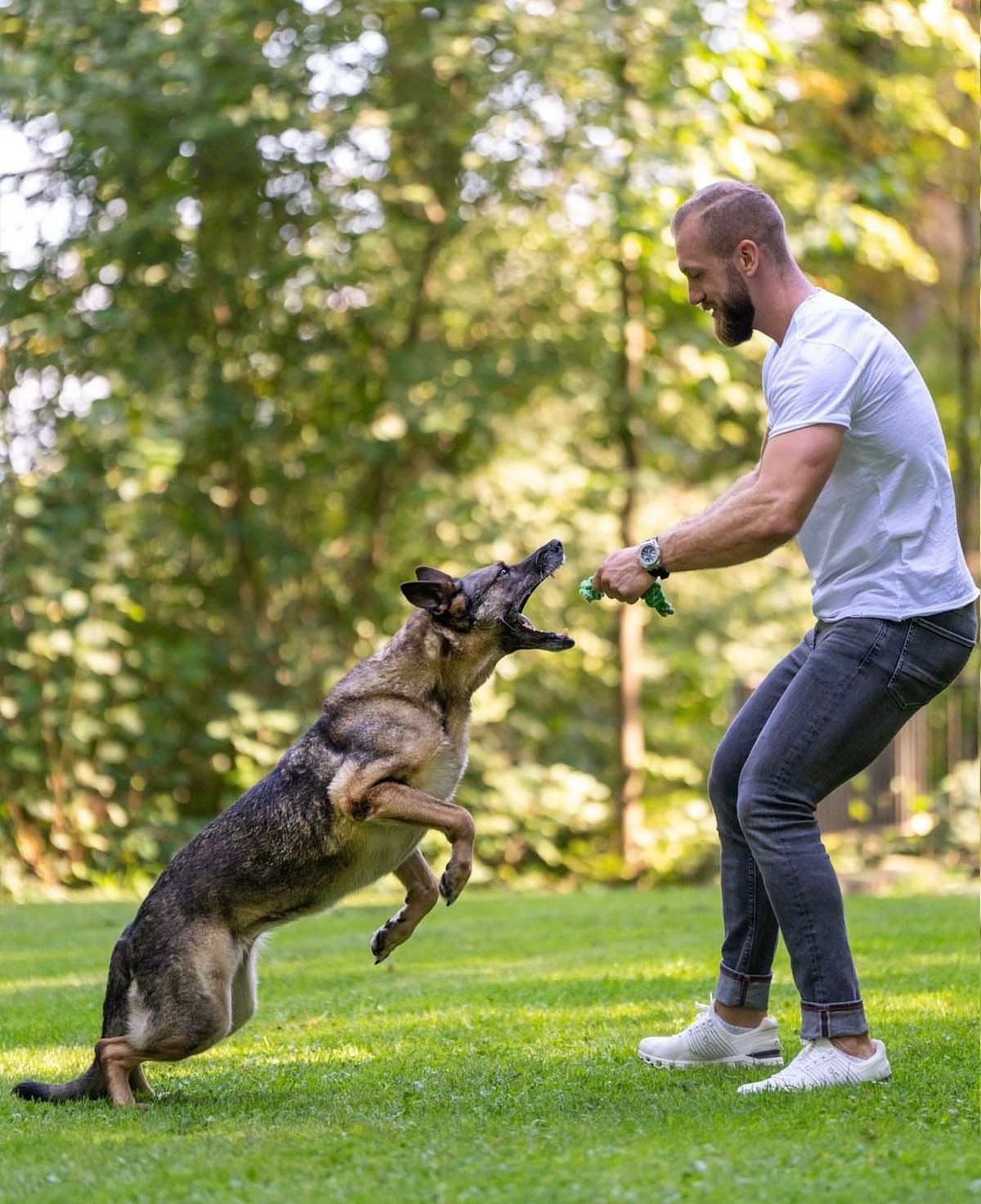 marc welti ist hundetrainer