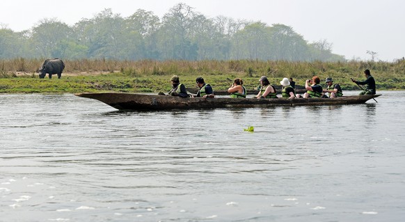 Nashorn im Chitwan-Nationalpark in Nepal.