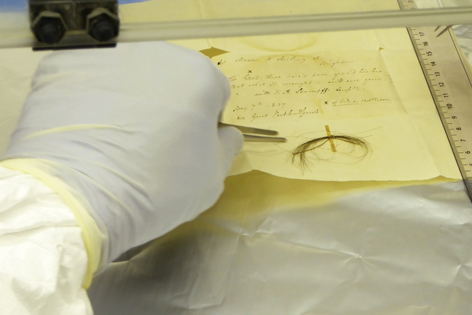 This photo, taken by researchers in March 2023, shows the Stumpff Lock, by composer Ludwig van Beethoven, in a lab at the Max Planck Institute for the Science of Human History in Germany.  H ...