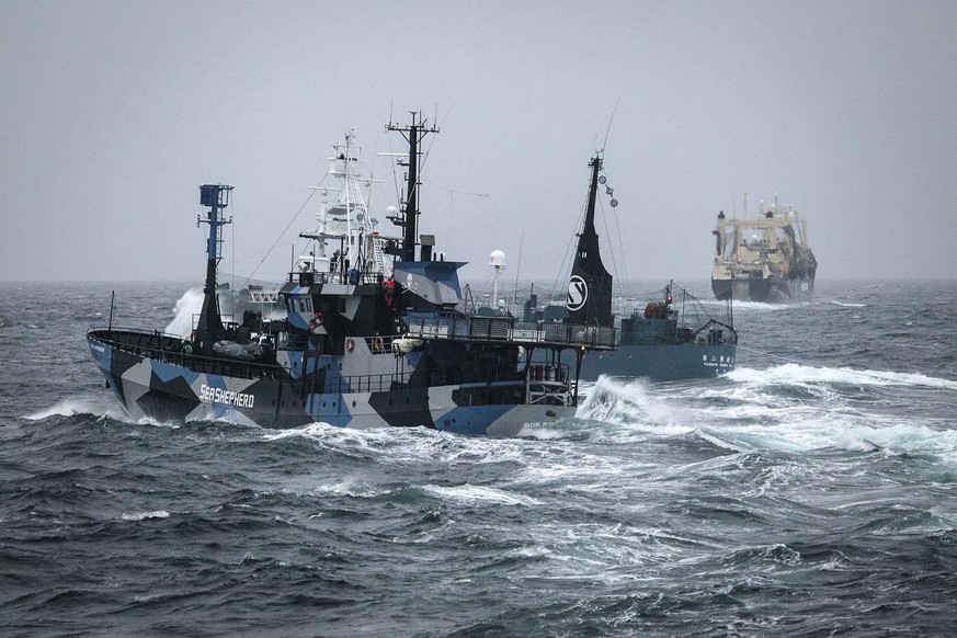 epa04051547 A handout image taken and released on 02 February 2014 shows a Japanese whaling vessel (C) cutting in front of the Bob Barker (L) ship of the anti-whaling activist group Sea Sheperd, in th ...