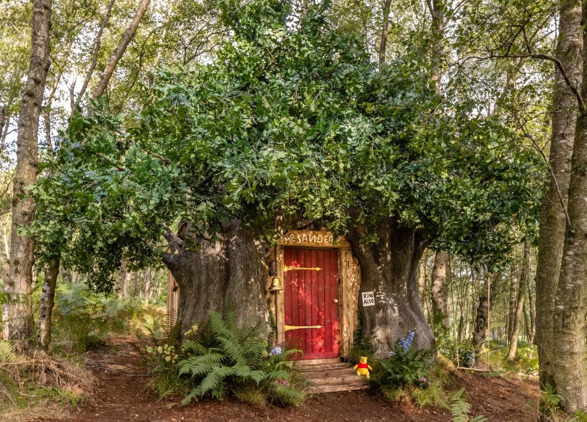 Airbnb Winnie Puuh