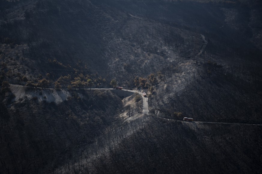 Firetrucks are seen on a road in burned forest near the Fyli suburb, northwest Athens, Greece, Friday, Aug. 25, 2023. Authorities battling a major wildfire in northeastern Greece that has been describ ...
