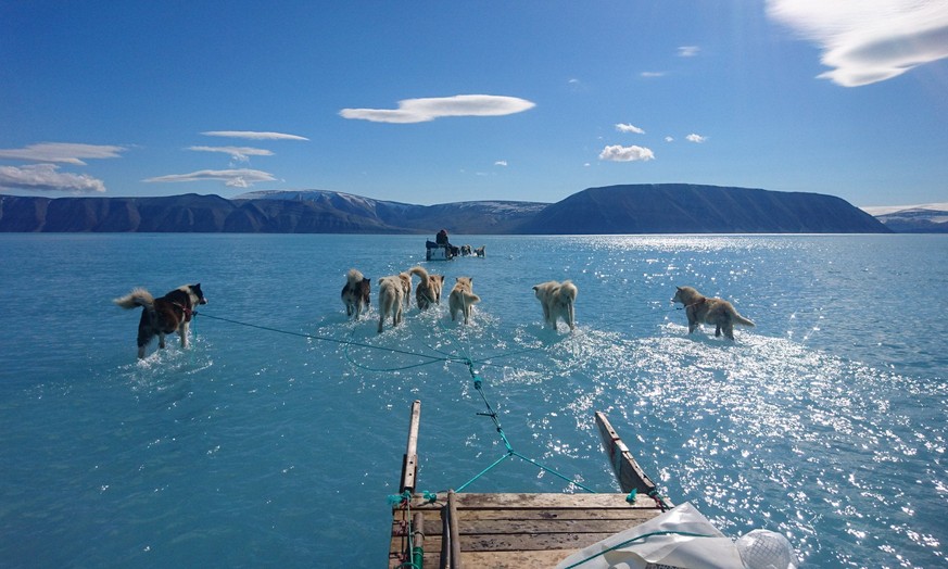 Symbolbild für den Klimawandel: Schlittenhunde waten in Grönland durch geschmolzenes Eiswasse, wobei die abgebildete Schmelze ganz «normal» sei.