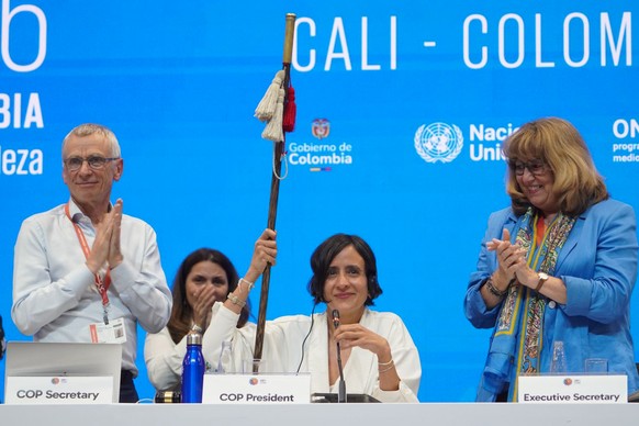 epa11698000 A handout photo made available by the COP16 Press showing Colombian Minister of Environment and Sustainable Development, Susana Muhamad (2-R), holding a cane during a session of the UN Con ...