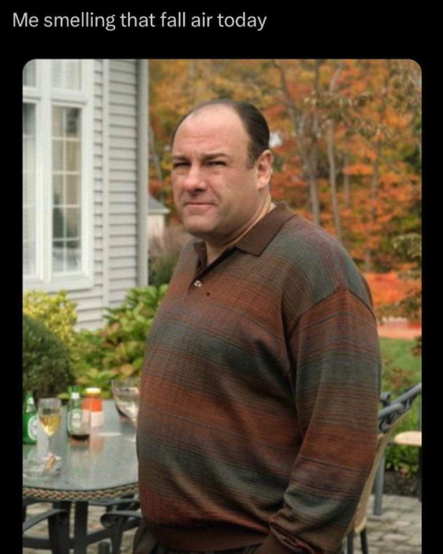 smelling the fall air today meme

https://www.instagram.com/p/CwfwqNTrXkL/