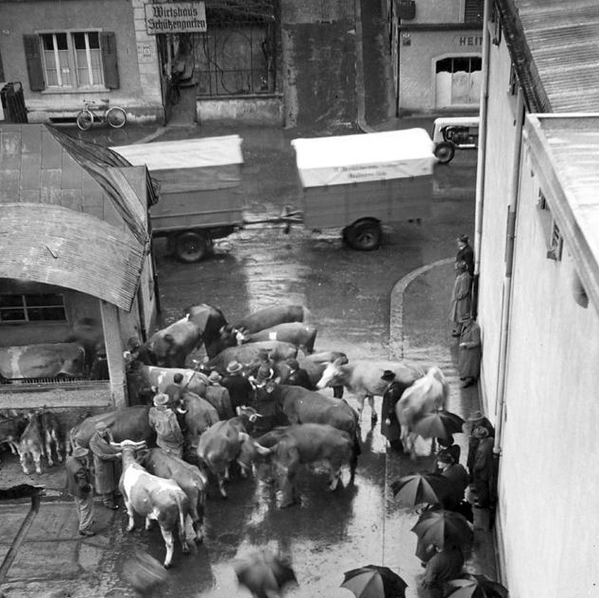 1952:&nbsp;Viehmarkt an der Bruchstrasse.