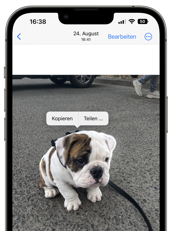 Mit iOS 16 lassen sich Objekte in Fotos ganz einfach freistellen, um sie (ohne störenden Hintergrund) zu teilen.