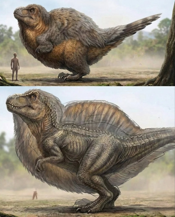 Kein Vaterschaftstest nötig: Viele verwandte des T-Rex hatten Federn – vielleicht auch er. Die Chance dass der Dinosaurier aussah wie auf diesem Bild, ist jedoch eher klein.