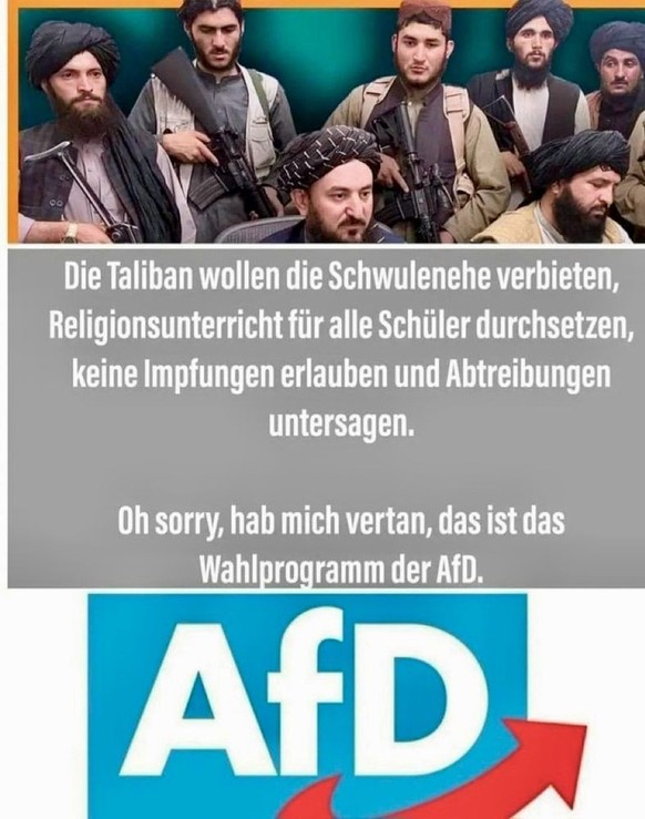 AfD-Meme