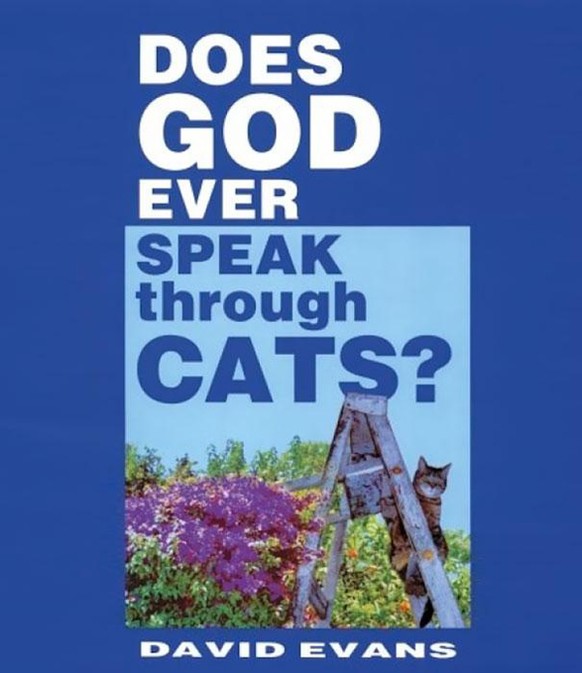 Spricht Gott jemals durch Katzen?