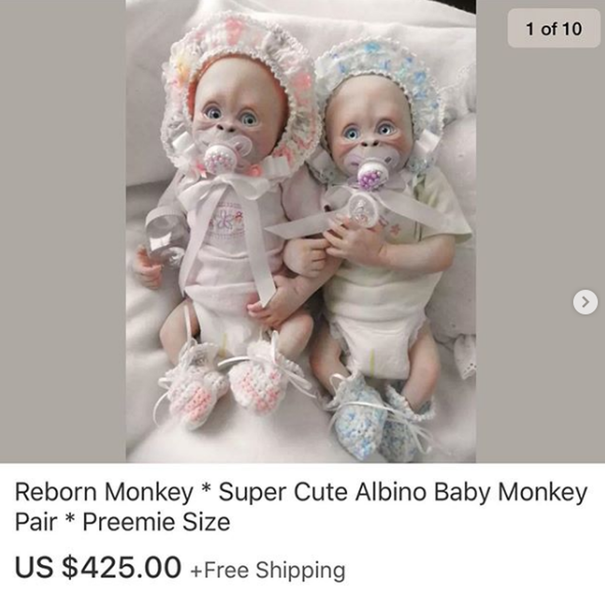 Wiedergeborene Affen * super-süsses Albino-Baby-Affen-Paar * In Frühchen-Grösse