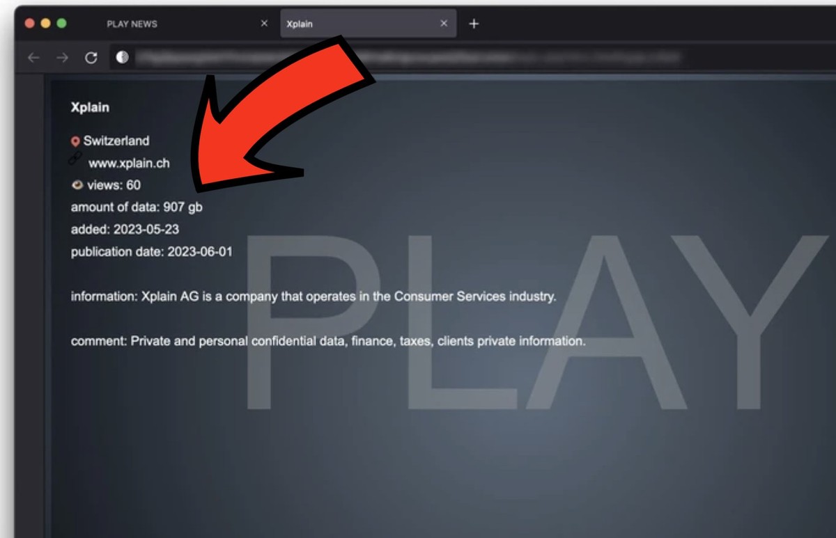 Recherchen von watson zeigen, dass die Cyberkriminellen angeblich fast ein Terabyte an Daten gestohlen haben von den Servern der Berner IT-Firma Xplain AG.