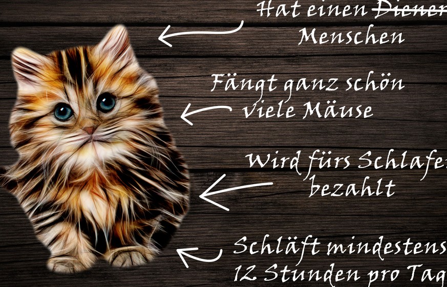 «Liebes Tagebuch, ich weiss, wie die Zukunft aussieht!»