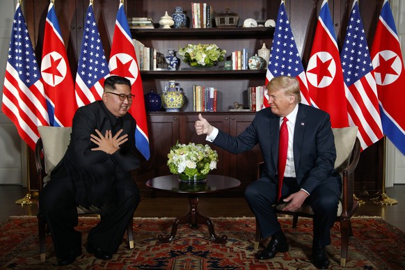 Kim Jong Un Doppeladler