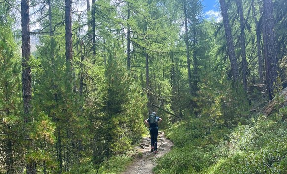 Gross Bigerhorn höchster Wandergipfel Europas