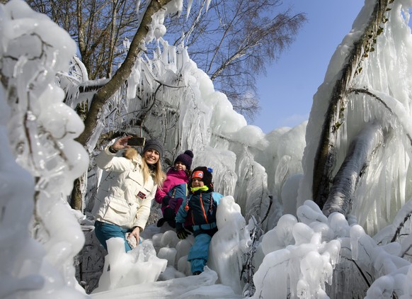 Schön kalt und schön bizarr. Impressionen von den Ufern des Genfersees, Neuenburgersees, Vierwaldstättersees und des Bodensees. Bild: Boudry, am Neuenburgersee, 28. Februar 2018. 