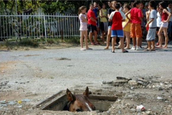 Pferd im Boden.
Cute News.
http://imgur.com/gallery/evEjR