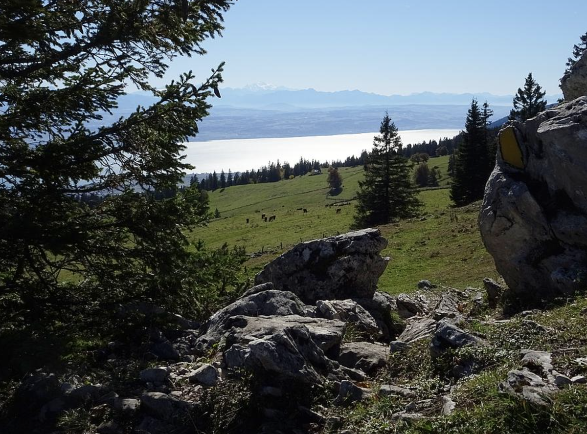 Herbsttäler Rauszeit Vallee de la Sagne Blick zum Neuenburgersee