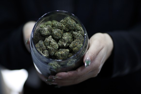 epa12507365 An exhibitor displays cannabis buds at the Asia International Hemp Expo and Forum 2025 in Bangkok, Thailand, 06 November 2025. The Asia International Hemp Expo and Forum is a trade exhibit ...