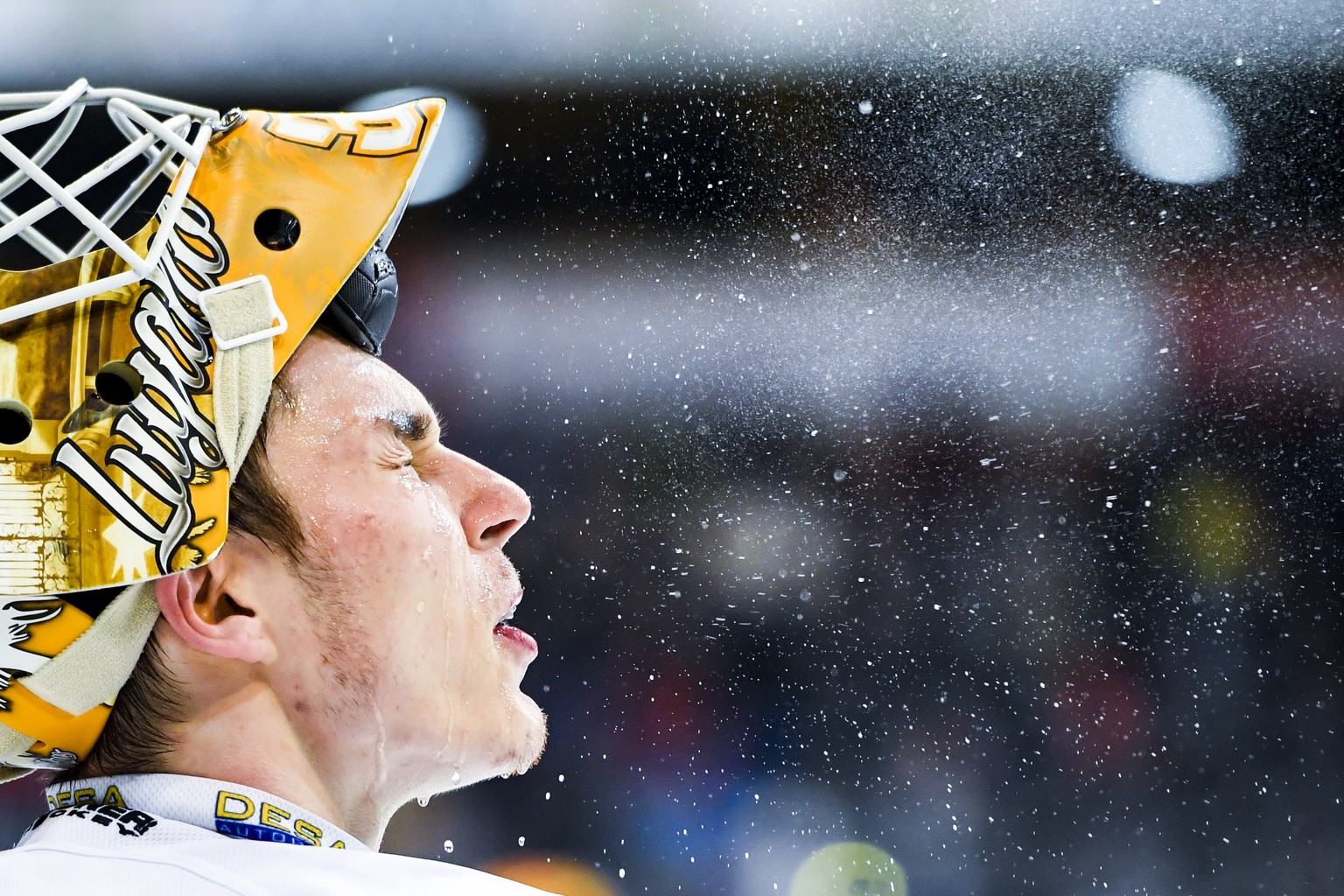 Luganos Torhueter Elvis Merzlikins beim Eishockey-Qualifikationsspiel der National League A zwischen dem HC Davos und dem HC Lugano, am Samstag, 2. Maerz 2019, in der Vaillant Arena in Davos. (KEYSTON ...