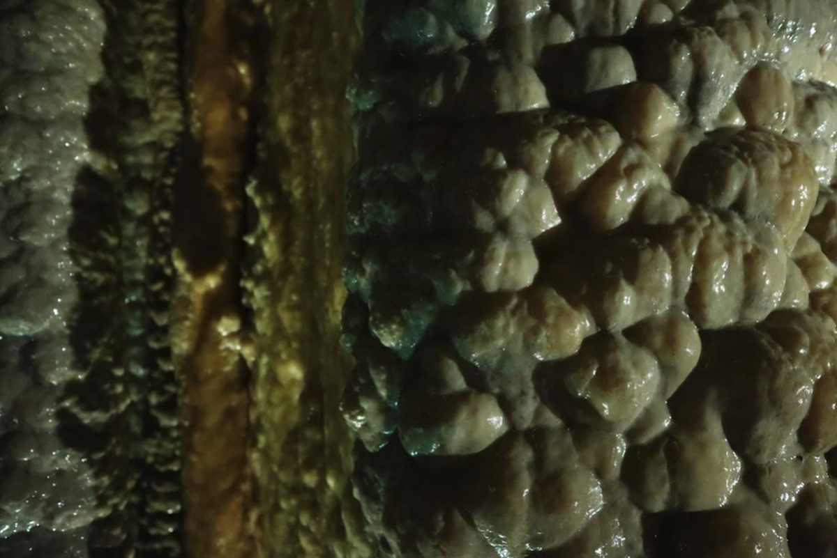 Vue détaillée des formations de stalactites.