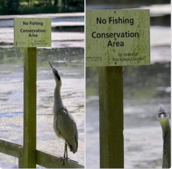 cute news tier vogel

https://www.instagram.com/p/DWJwPWkEx-O/