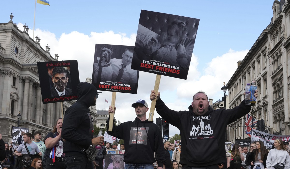 People take part in a protest in central London, against the British government's decision to add XL bully dogs to the list of prohibited breeds under the Dangerous Dogs Act following a spate of  ...