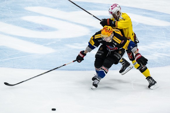 Fribourgs PostFinance Top Scorer Killian Mottet, links, im Duell mit Berns Thierry Bader im Eishockey Meisterschaftsspiel der National League zwischen dem HC Fribourg Gotteron und dem SC Bern, am Sonn ...