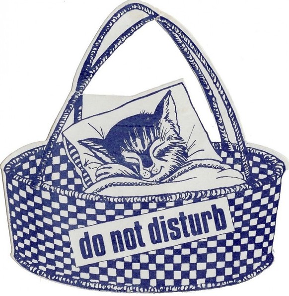 "Do Not Disturb” signs from hotels around the world, painstakingly put together by a collector named Eduardo of Turin, Italy.
https://www.flickr.com/photos/11068524@N04/