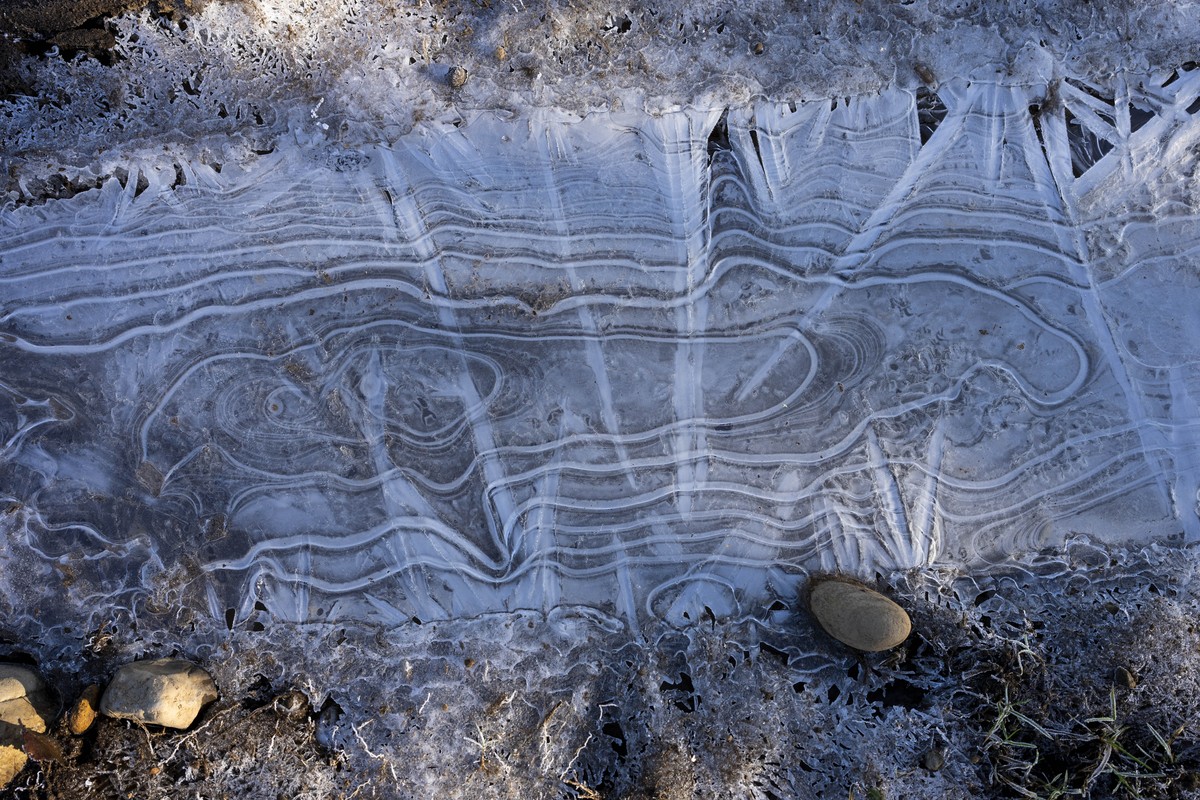 Frost patterns cover a patch of ground near the home of Millaray Huichalaf, a Mapuche machi, or healer and spiritual guide, in Carimallin, southern Chile, on Saturday, June 25, 2022. (AP Photo/Rodrigo ...
