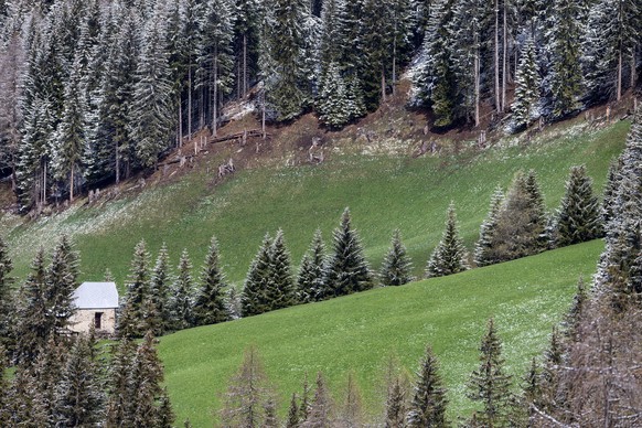 Verschneite Landschaft bei Davos am Dienstag, 13. Mai 2014. Die Eisheiligen sorgen am Dienstag fuer kuehle Temperaturen und Schnee bis gegen 1000 Meter ueber Meer. (KEYSTONE/Arno Balzarini) 

Landsc ...