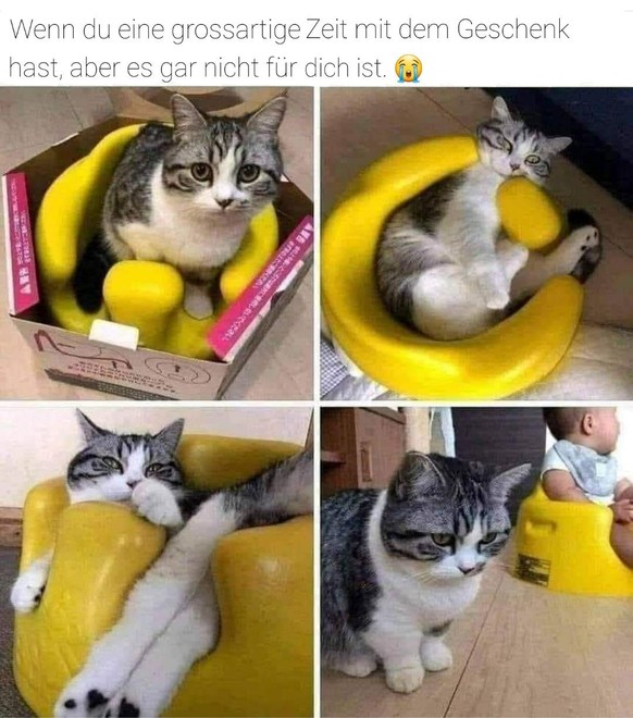 Zurück in die Zukunft: PICDUMP!\n😿