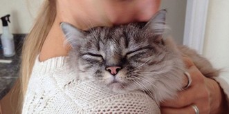 10 Gründe, weshalb Katzen die besten Freunde von Frauen sind