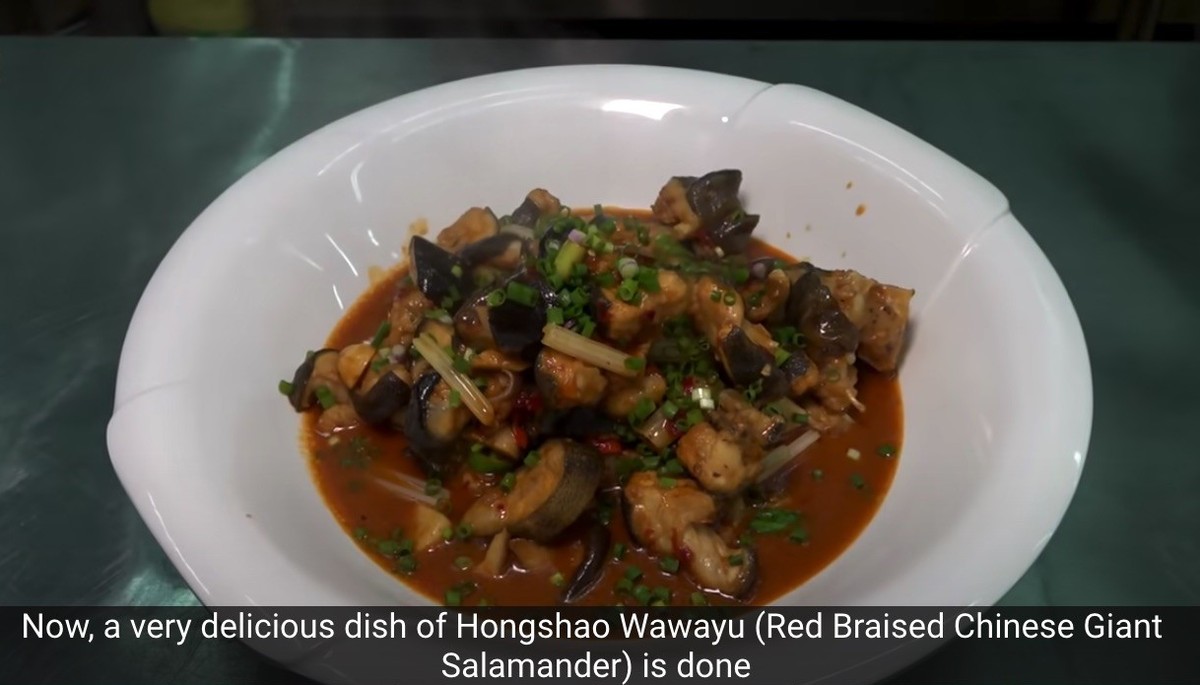 chef wang gang china chinesische küche kantonesisches essen food kochen youtube frosch ratte stierkopf salamander https://www.youtube.com/channel/UCg0m_Ah8P_MQbnn77-vYnYw