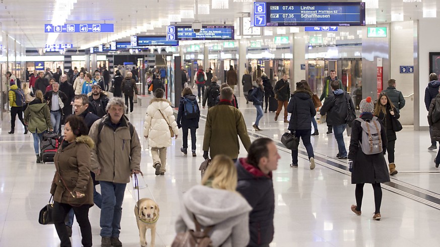 Passagiere und Pendler im Hauptbahnhof Zürich: rund 40 Prozent der Schweizer Bevölkerung besitzt ein GA oder Halbtax. (Archivbild)