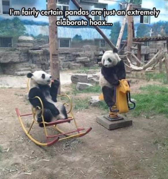 Übersetzung: «Ich bin mir ziemlich sicher, dass Pandas nur ein sehr ausgeklügelter Schwindel sind.»