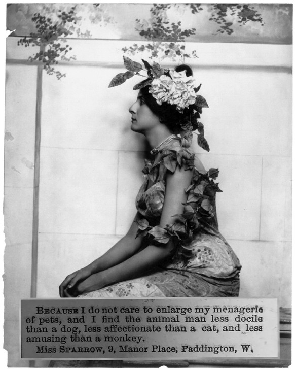 Victorian Women
An 1889 Magazine Asked Women Why They Think They’re Single. The Replies Were Hilarious

Late Victorian / early Edwardian fashion - woman posed in profile, ca. 1902

https://www.loc.gov ...