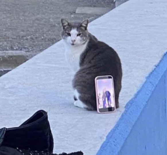 Surprise