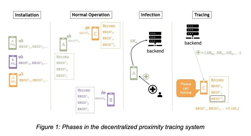 Dezentralisiertes System: Erst wenn ein User über die App eine Infektion bestätigt, werden anonyme Daten an den Server übermittelt, um Kontakte zu warnen.