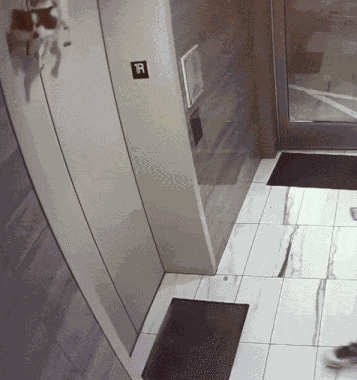 Animiertes GIF