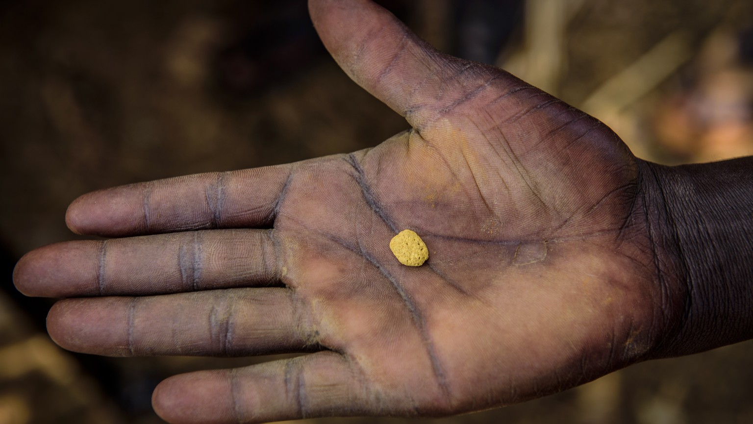 A man displays a nugget containing gold dust at a gold mining site in the village of Mawero, on the outskirts of Busia town, in eastern Uganda on Monday, Oct. 18, 2021. With schools closed, students t ...
