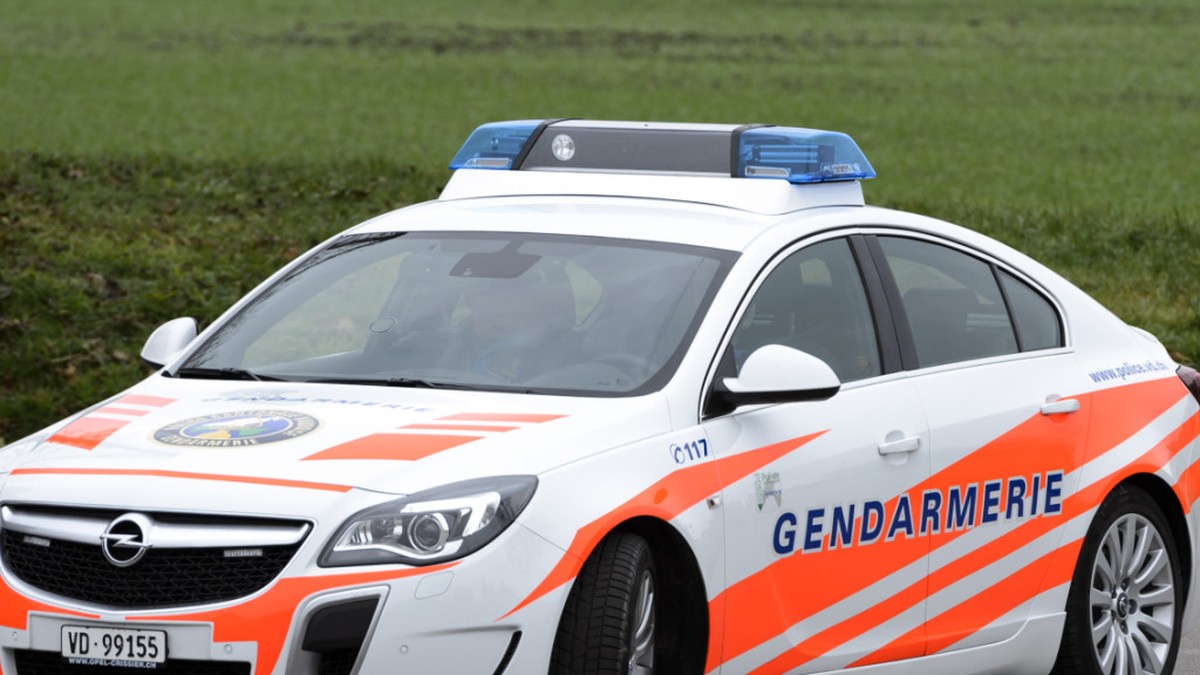 Mehrere maskierte Täter haben am frühen Montagmorgen ein Ehepaar in seinem Haus in Coppet VD überfallen