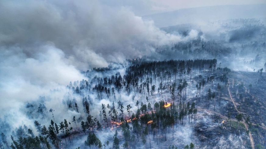 In Sibirien wüten verheerende Waldbrände.