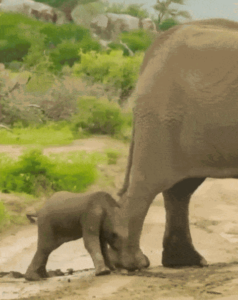 Animiertes GIF